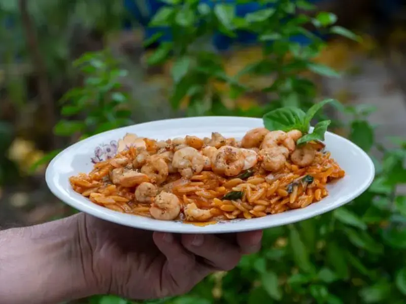 Greek-Style Chicken & Orzo Traybake