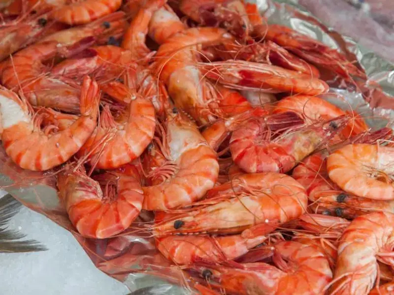 Prawn & Chorizo Jambalaya